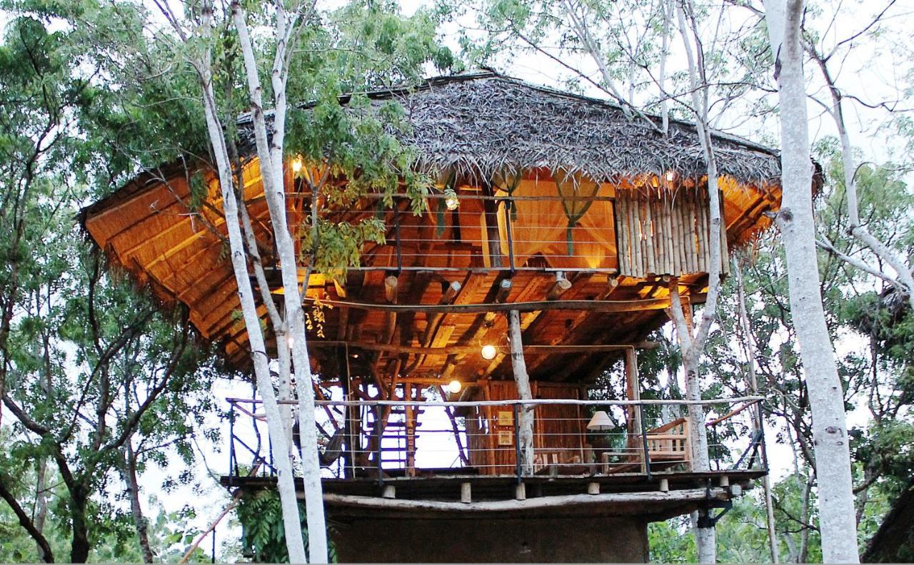 The Saraii Tree Lodge Tissamaharama Exterior foto
